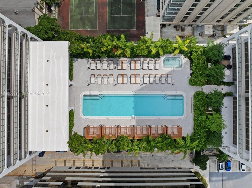 Resort-style swimming pool with  luxury loungers, and private relaxation spaces overlooking Coconut Grove.