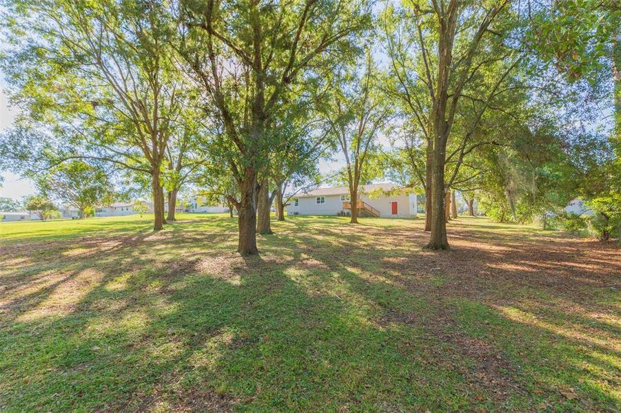 Natural landscape and outdoor views near  in Dade City (Image 43).