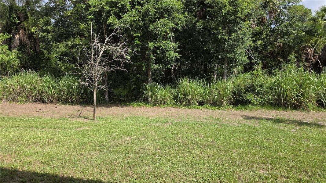 Natural landscape and outdoor views near  in North Port (Image 48).
