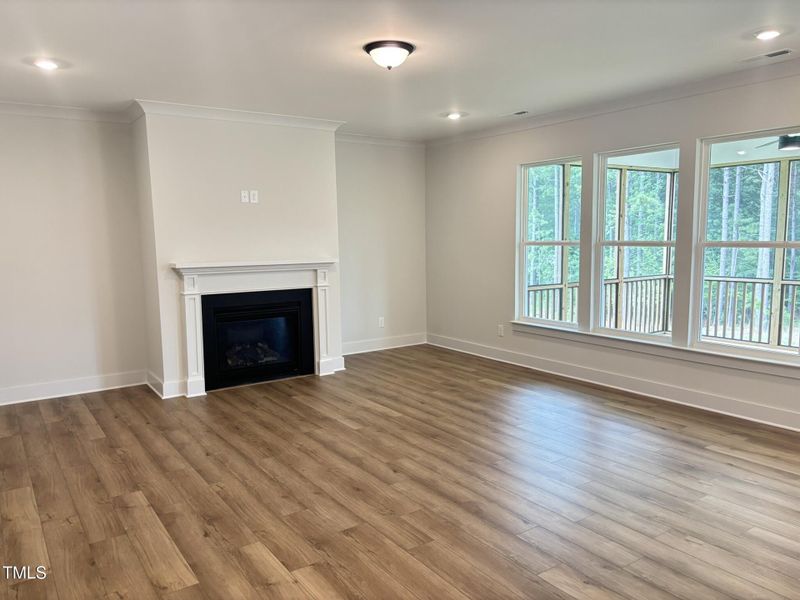 Family Room Family Room