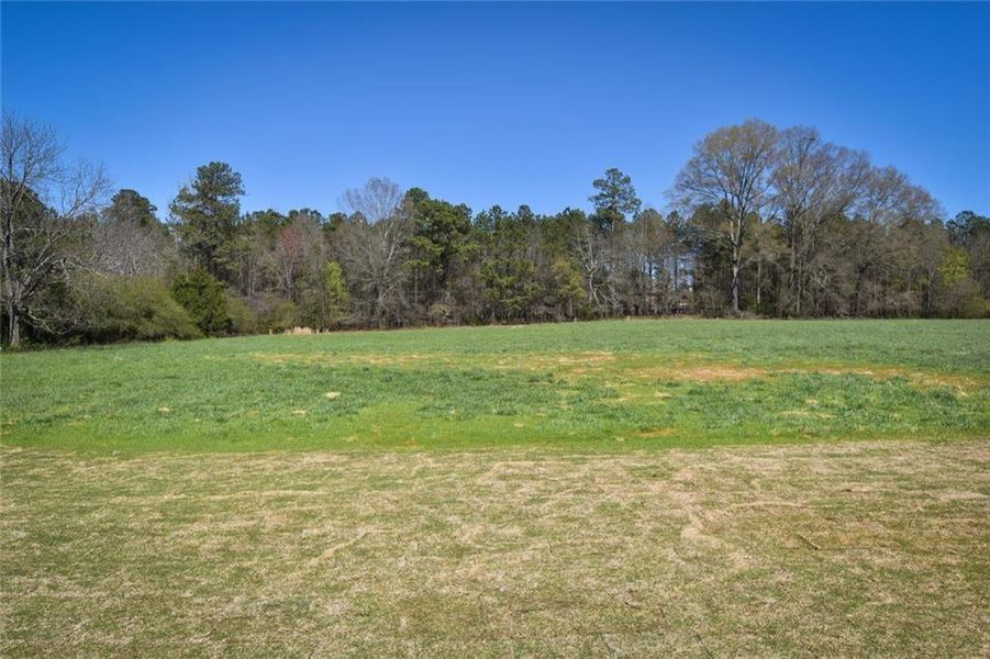 Natural landscape and outdoor views near  in Bishop (Image 25).