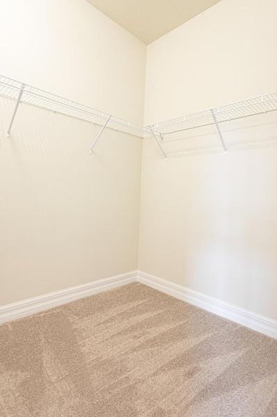 Master Walking Closet Master Walking Closet