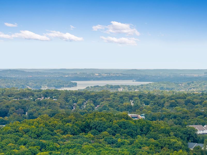 A landscape with trees and buildings.
