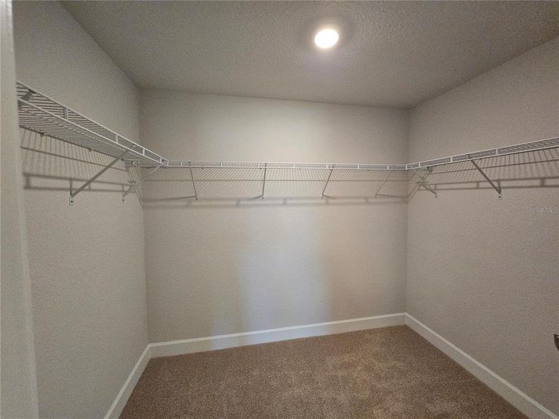 Spacious, unfurnished interior of a new home in Twisted Oaks, Beverly Hills (Image 14).