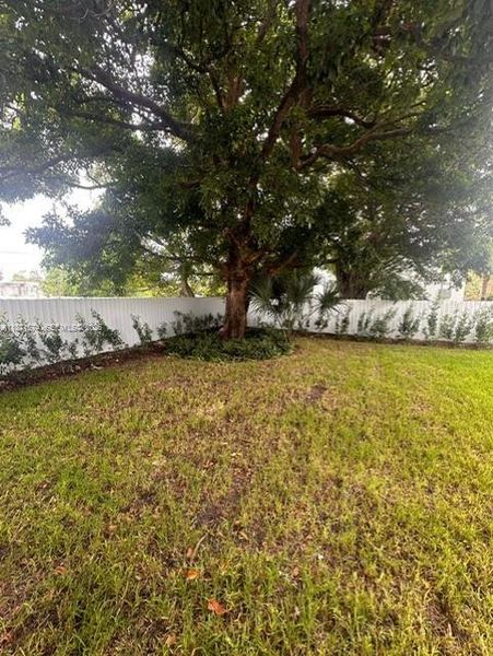 Natural landscape and outdoor views near  in Fort Lauderdale (Image 17).