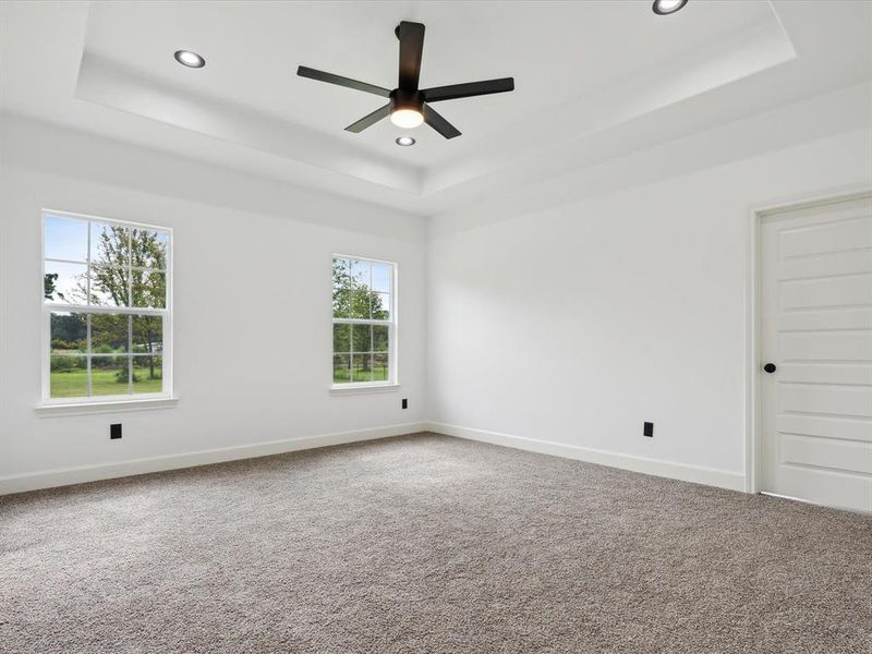 Unfurnished room with carpet and a tray ceiling