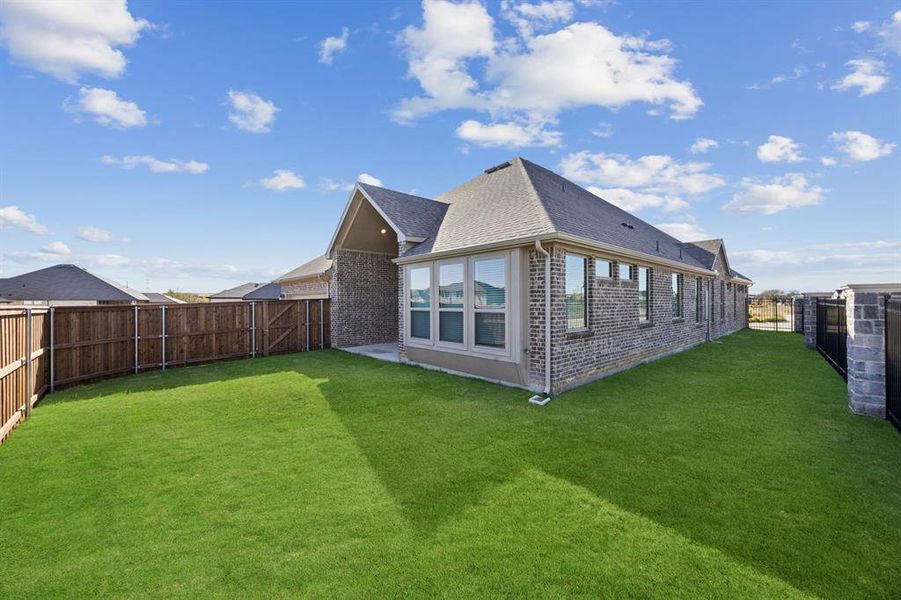 30-1016Sunflower_030 30-1016Sunflower_030