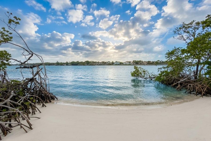 Natural landscape and outdoor views near  in Jupiter (Image 6).