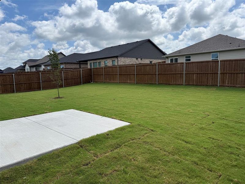 Large backyard irrigated sodded and wood privacy fence Large backyard irrigated sodded and wood privacy fence