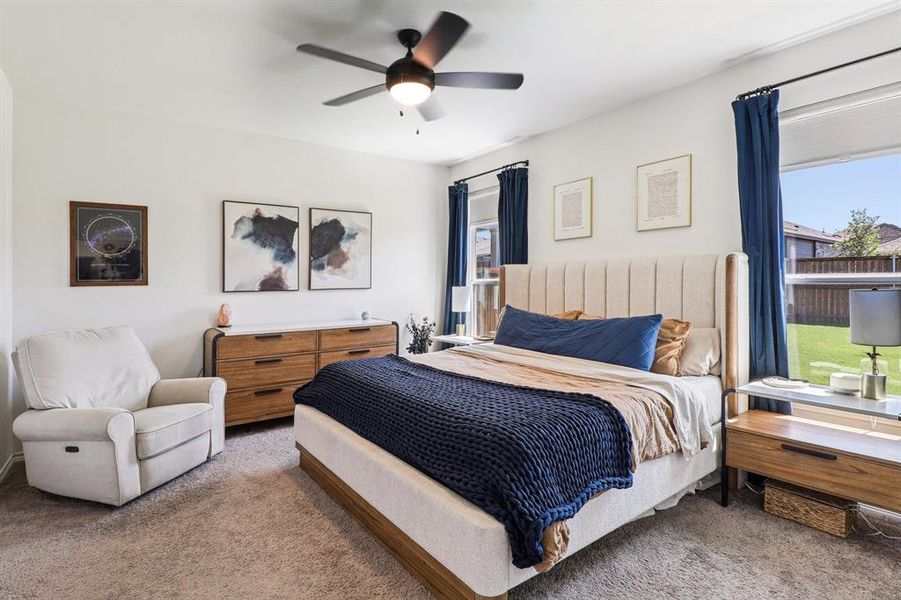 Carpeted bedroom with a ceiling fan Carpeted bedroom with a ceiling fan