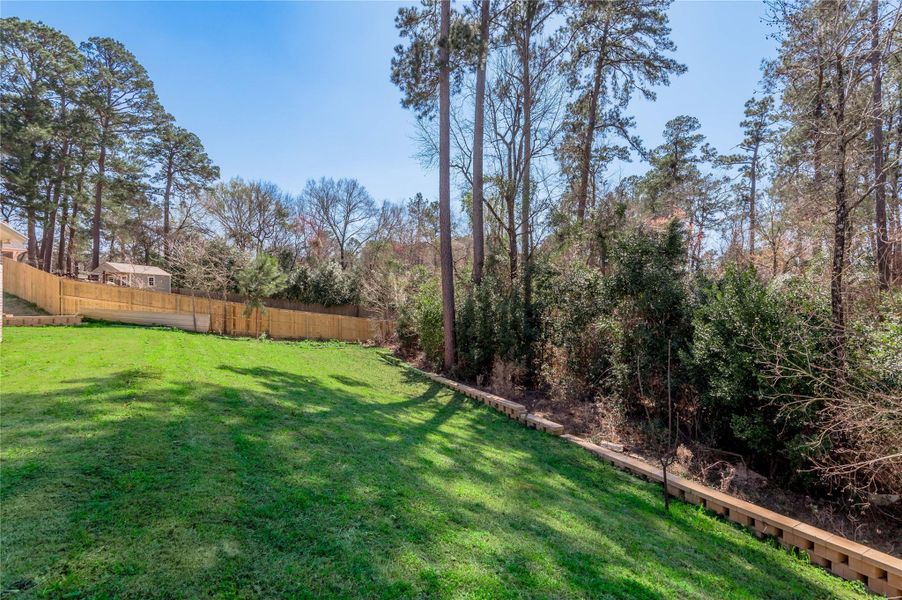 Natural landscape and outdoor views near  in Nacogdoches (Image 44).