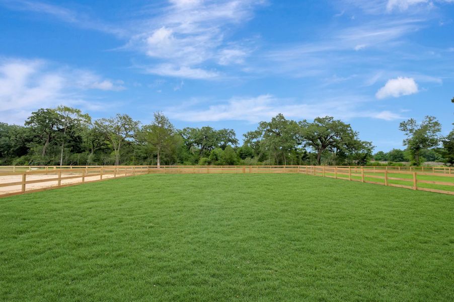 Backyard Backyard