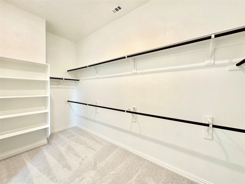 Walk in closet featuring light colored carpet