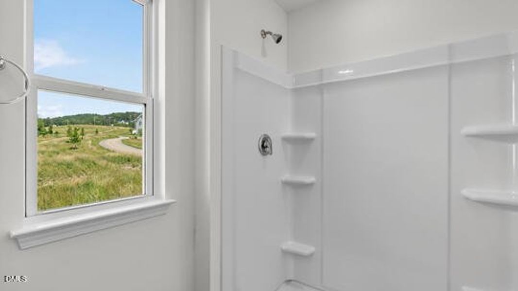 Belle Grove_Darwin A3_83_Gray_SPEC-035