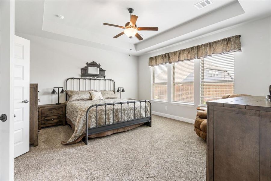 Carpeted bedroom featuring a tray ceiling with a ceiling fan, three large windows with blinds, and white panel doors Carpeted bedroom featuring a tray ceiling with a ceiling fan, three large windows with blinds, and white panel doors