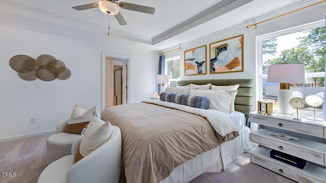 Andrews_13 Andrews_13