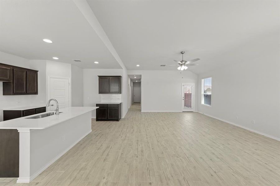 04. 3732 Honey Daisy - Entry (2)