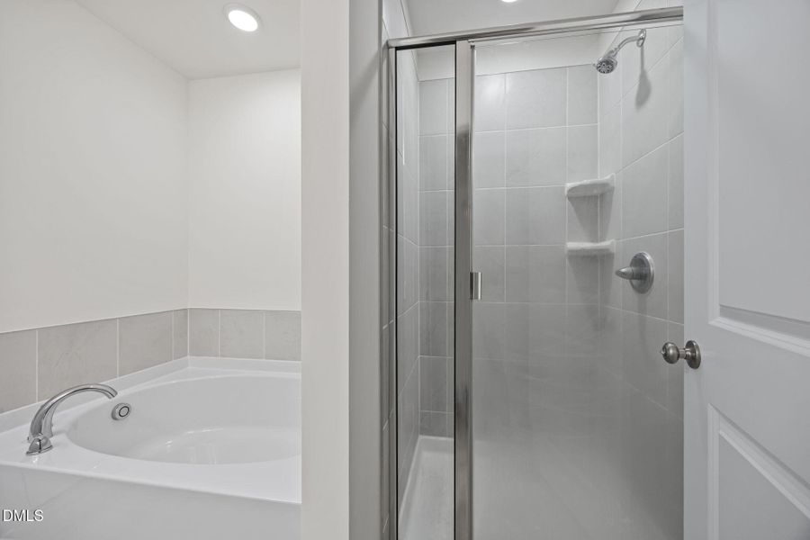 42-web-or-mls-IMG_6832