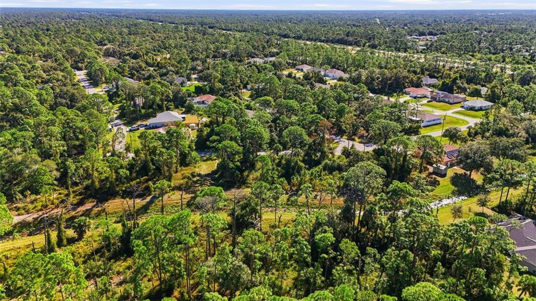 Natural landscape and outdoor views near  in North Port (Image 8).