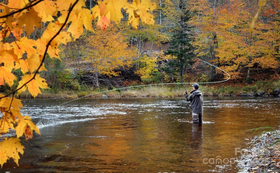 Minutes to fly fishing!