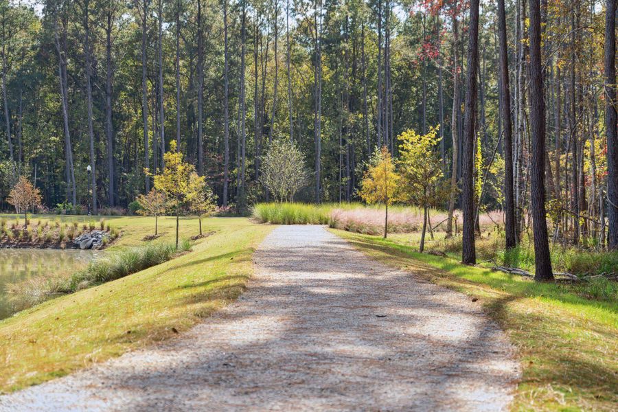 Natural landscape and outdoor views near Horizons at Summers Corner | 55+ in Summerville (Image 15).