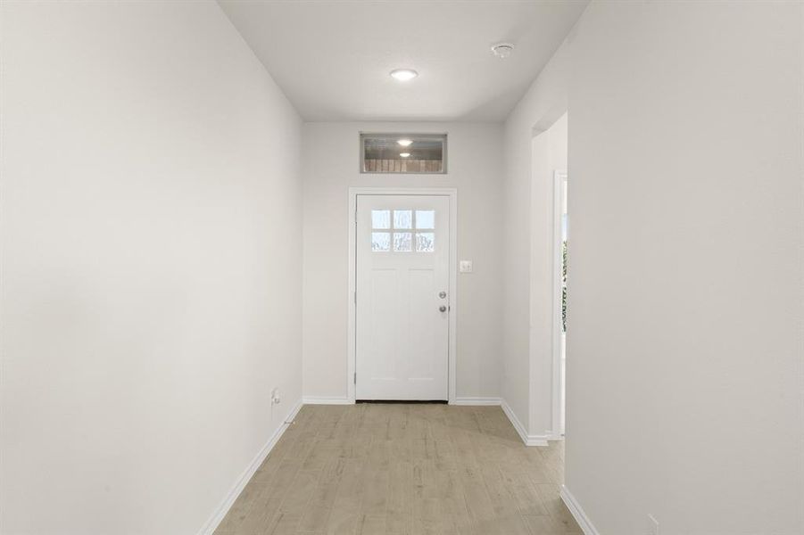 741 Scarlet Sage- Entry-1