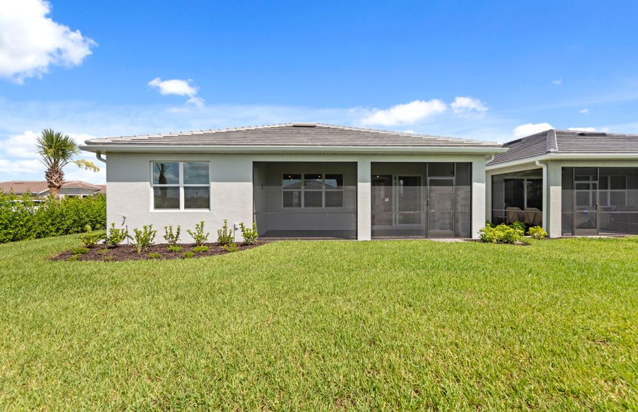 Palmary back exterior