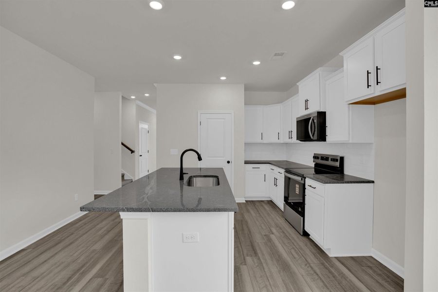 Furnished interior view inside a new home in Old Charleston Acres, Pelion (Image 4).