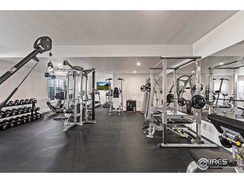 Home Gym that is unlike anything seen in Colorado!