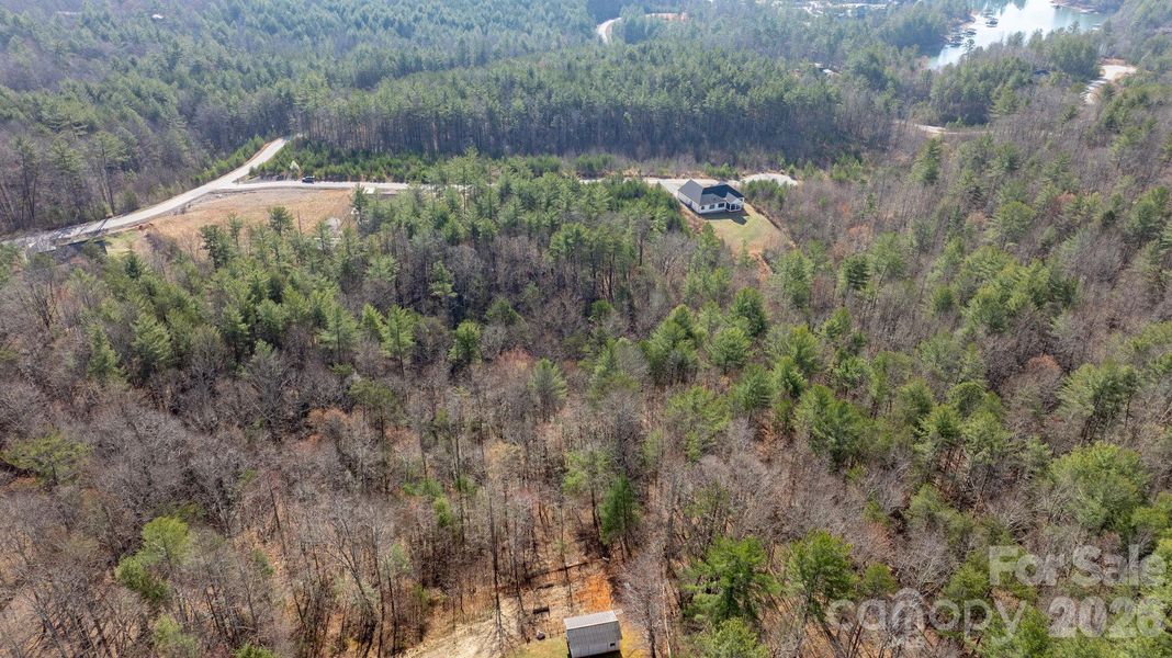 Natural landscape and outdoor views near  in Morganton (Image 30).