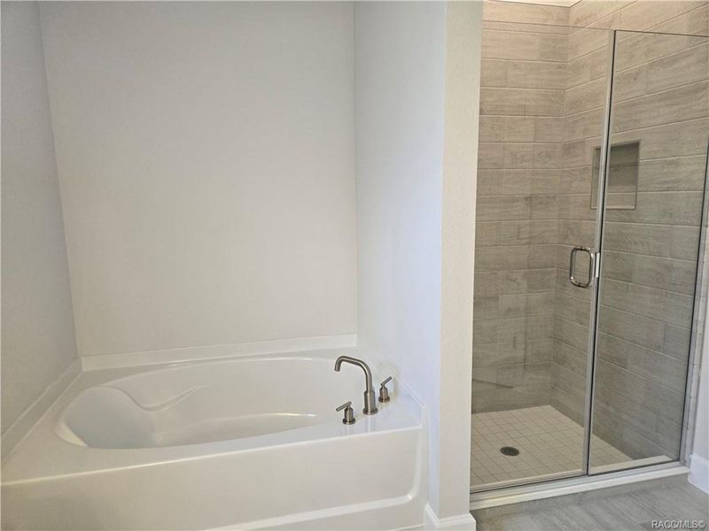 Furnished interior view inside a new home in Wyld Palms, Inverness (Image 7).