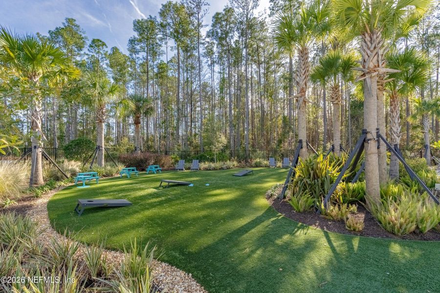Natural landscape and outdoor views near  in St. Johns (Image 59).
