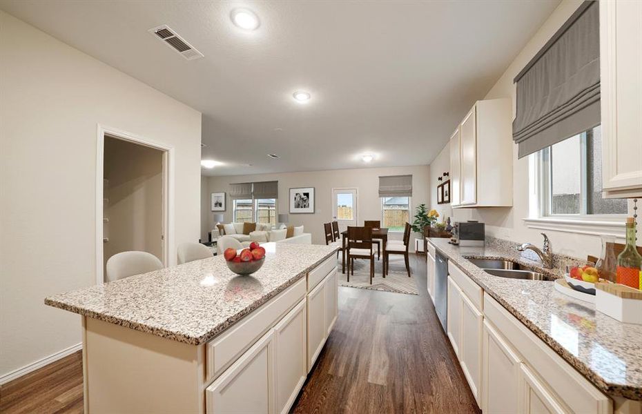 Abundant cabinet space in kitchen *Model Representation*