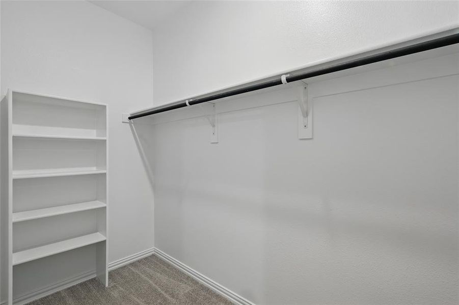 Spacious closet featuring carpet