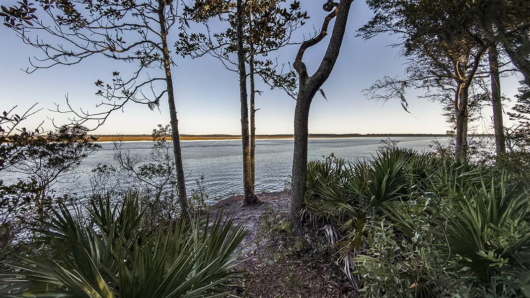Natural landscape and outdoor views near Esplanade at St. Marys in St. Marys (Image 40).