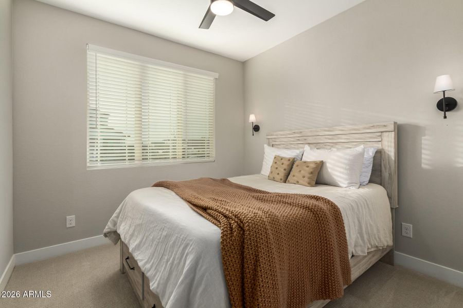 21-Wollemi 21-Wollemi