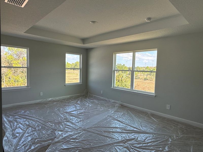 Primary suite features a tray ceiling and several large windows with views of nature