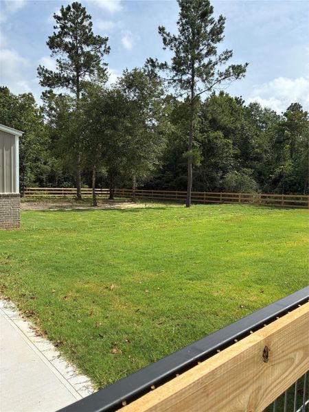 View from front driveway
