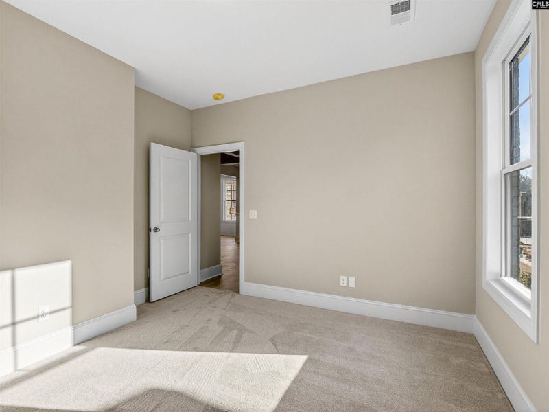 Spacious, unfurnished interior of a new home in Collins Cove, Chapin (Image 33).