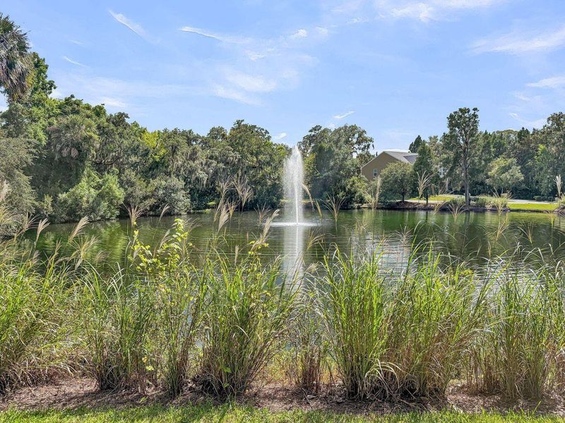 Natural landscape and outdoor views near  in North Charleston (Image 34).
