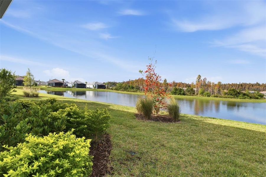 Natural landscape and outdoor views near in Wesley Chapel (Image 33). Natural landscape and outdoor views near in Wesley Chapel (Image 33).