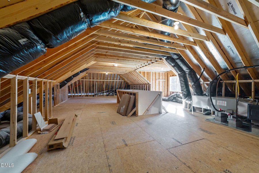 58-web-or-mls-VB4A5711