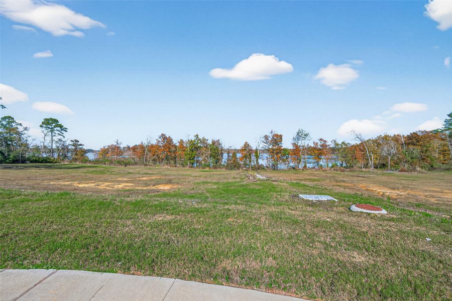 Natural landscape and outdoor views near Woodland Lakes in Huffman (Image 43).