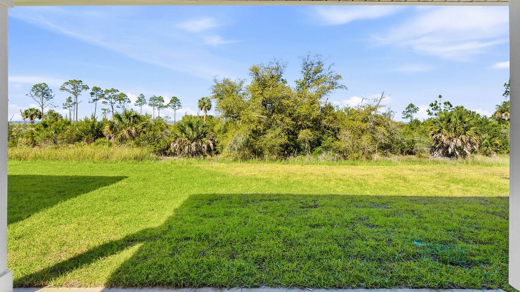 Natural landscape and outdoor views near WindMark Beach in Port Saint Joe (Image 39).