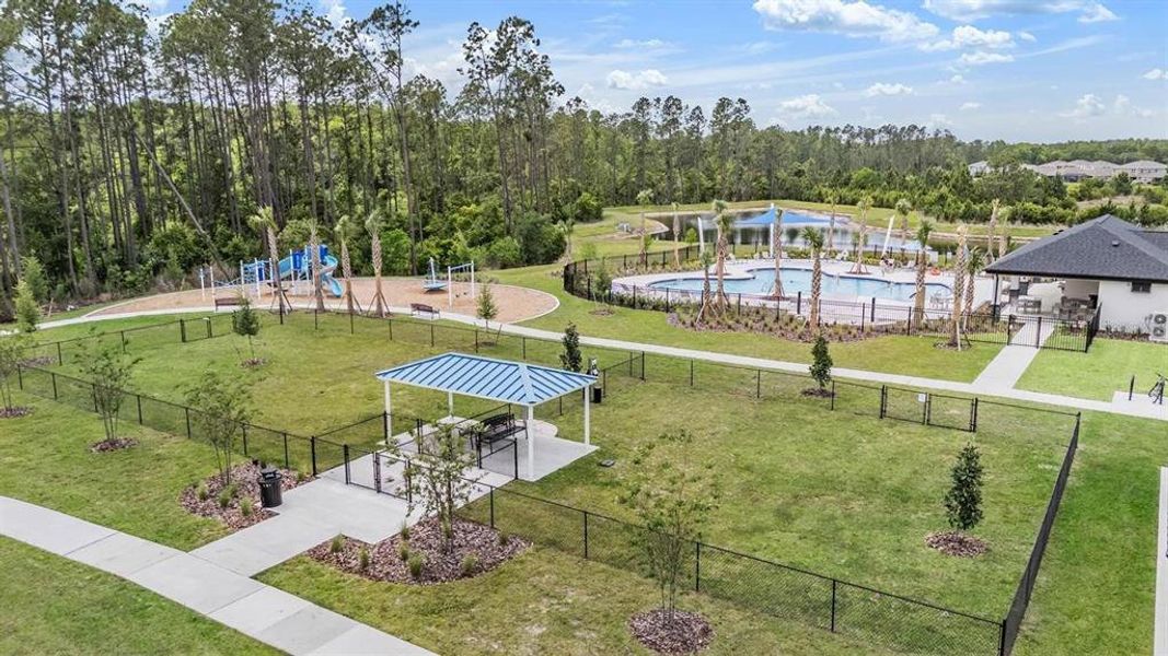 Community amenities in Deerbrook, Land O' Lakes (Image 33). Community amenities in Deerbrook, Land O' Lakes (Image 33).