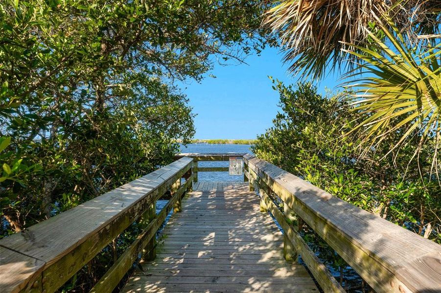 Natural landscape and outdoor views near in New Smyrna Beach (Image 16). Natural landscape and outdoor views near in New Smyrna Beach (Image 16).