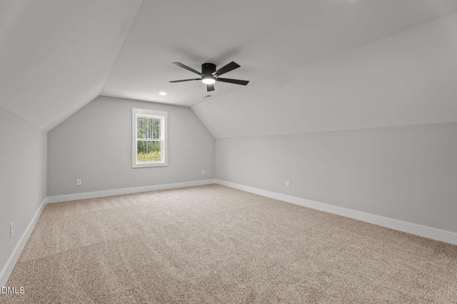 41-web-or-mls-DSC09578