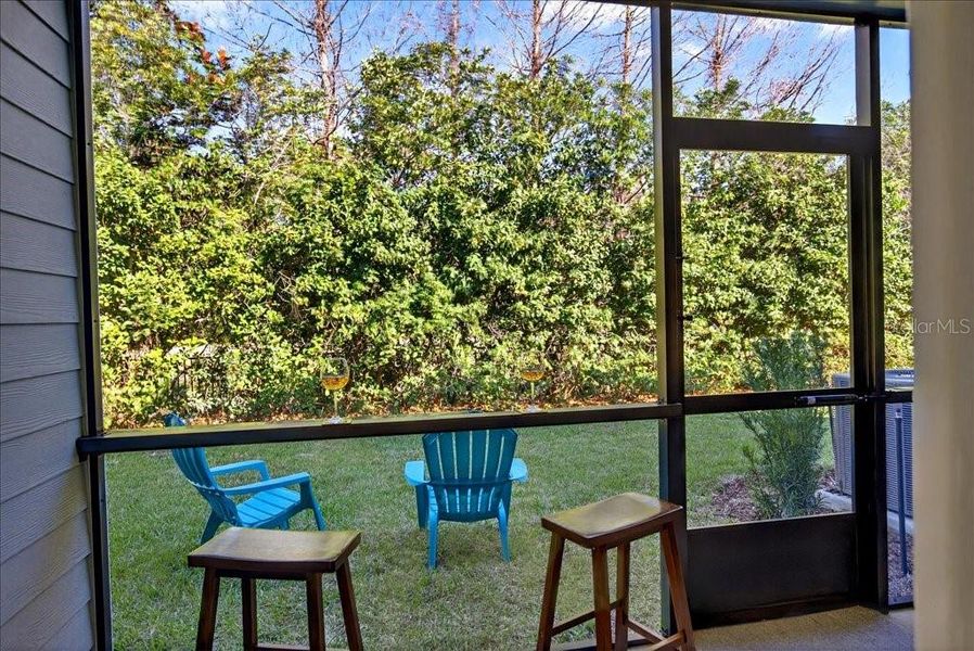 Exterior details and patio area of a home in The Hammock at Palm Harbor, Palm Coast (Image 31).