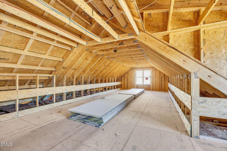 17-web-or-mls-9L1A2025