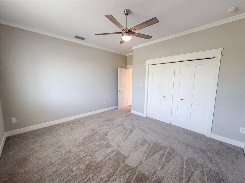 Spacious, unfurnished interior of a new home in , Dunedin (Image 44).